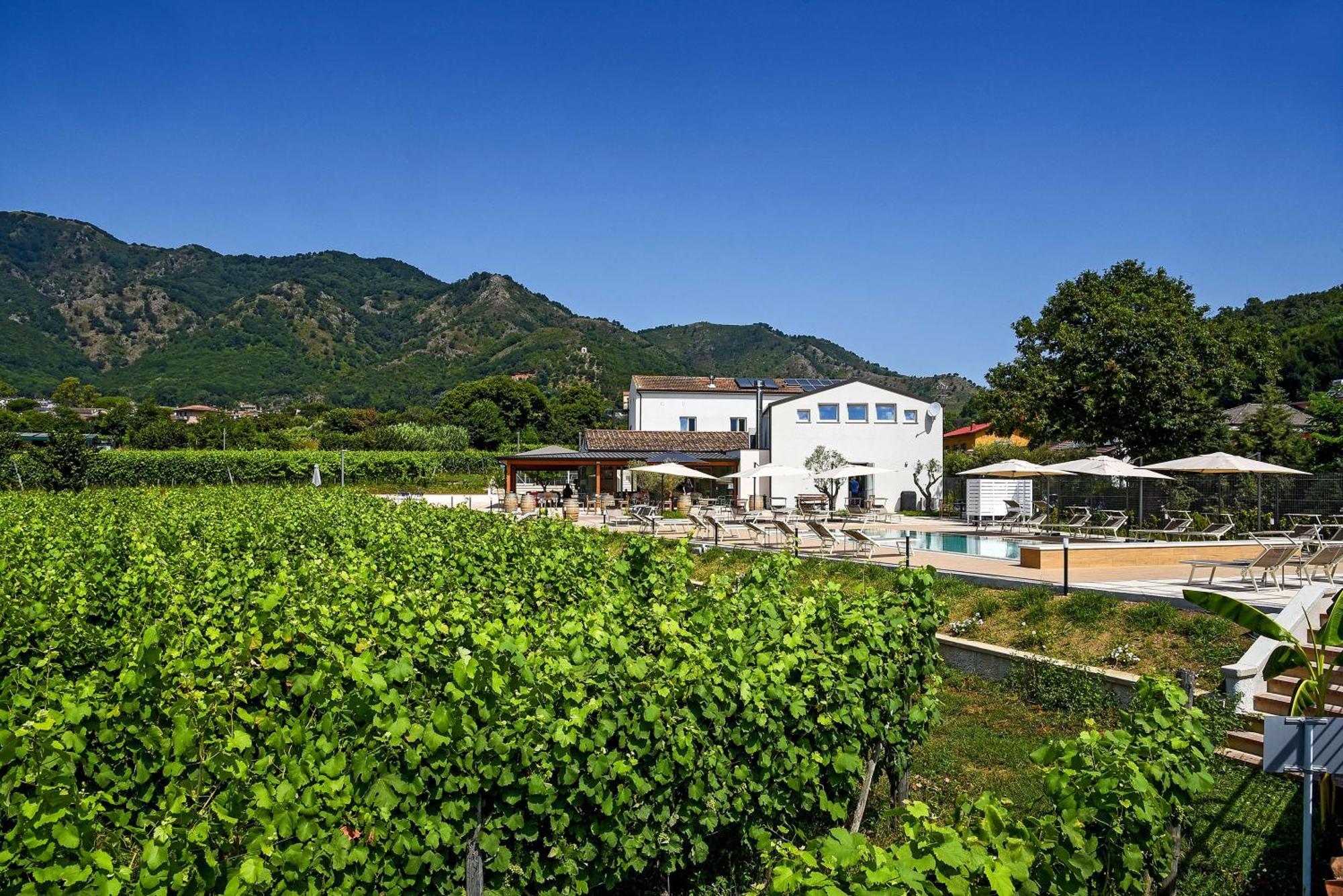 Agriturismo Guerritore บาโรนิสซี ภายนอก รูปภาพ