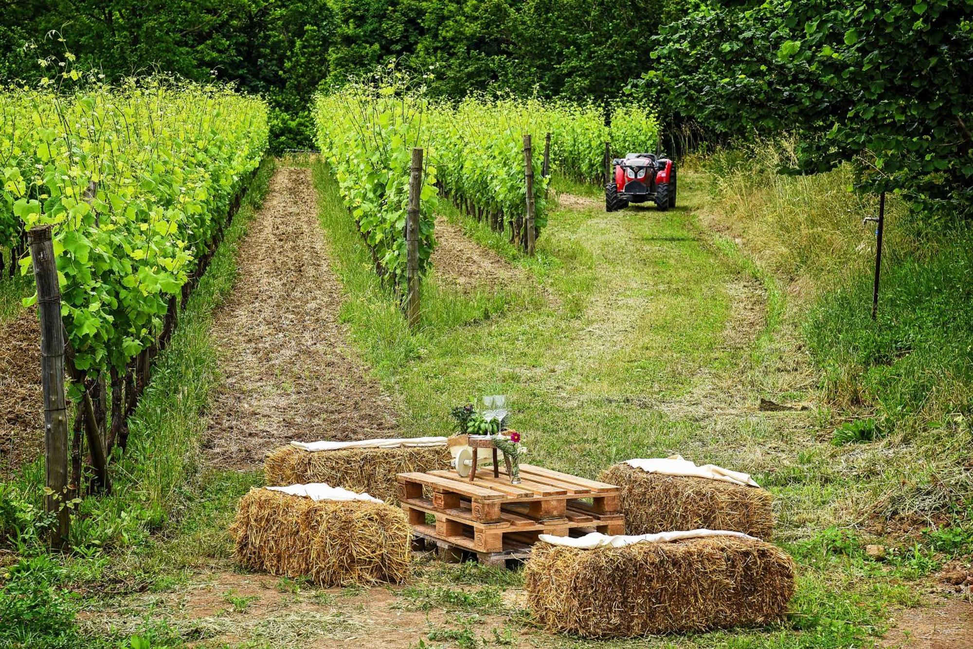 Agriturismo Guerritore บาโรนิสซี ภายนอก รูปภาพ